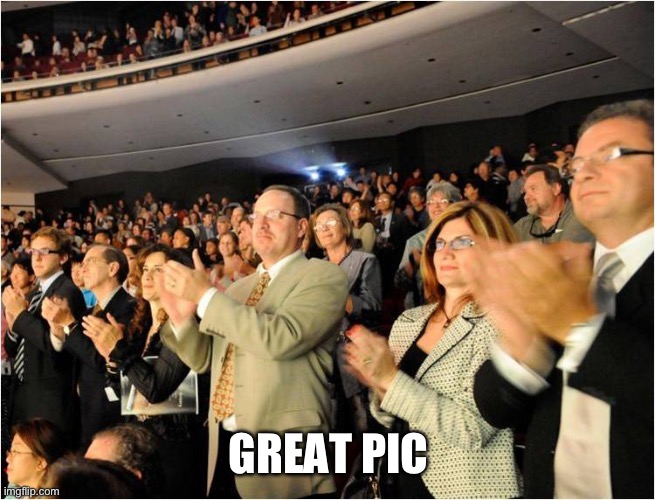 applaud | GREAT PIC | image tagged in applaud | made w/ Imgflip meme maker