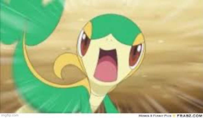 Snivy | image tagged in snivy | made w/ Imgflip meme maker