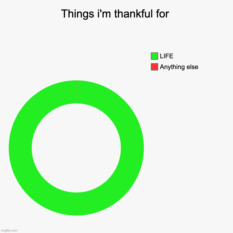 Things i'm thankful for | Anything else, LIFE | image tagged in charts,donut charts | made w/ Imgflip chart maker