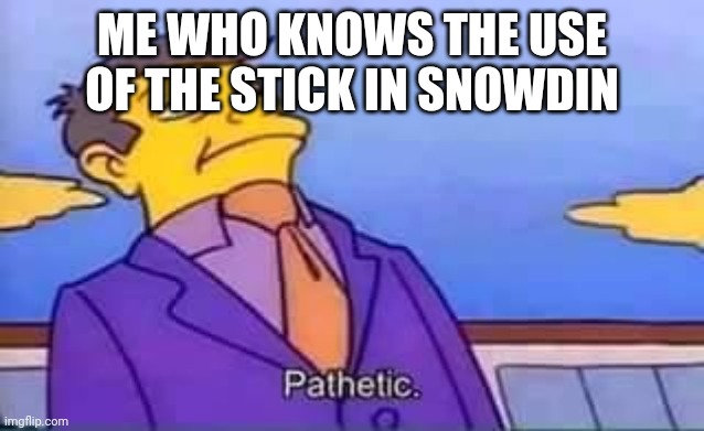 skinner pathetic | ME WHO KNOWS THE USE OF THE STICK IN SNOWDIN | image tagged in skinner pathetic | made w/ Imgflip meme maker