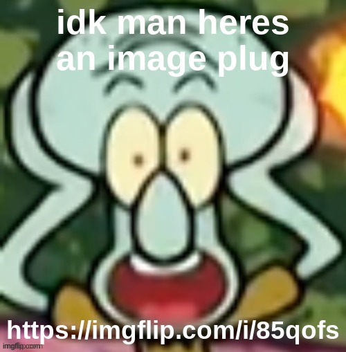 Flabbergasted Squidward | idk man heres an image plug; https://imgflip.com/i/85qofs | image tagged in flabbergasted squidward | made w/ Imgflip meme maker