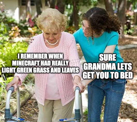 Sure grandma let's get you to bed | I REMEMBER WHEN MINECRAFT HAD REALLY LIGHT GREEN GRASS AND LEAVES; SURE GRANDMA LETS GET YOU TO BED | image tagged in sure grandma let's get you to bed | made w/ Imgflip meme maker