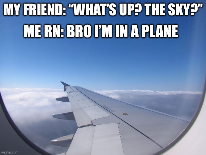 ME RN: BRO I’M IN A PLANE; MY FRIEND: “WHAT’S UP? THE SKY?” | image tagged in aviation | made w/ Imgflip meme maker