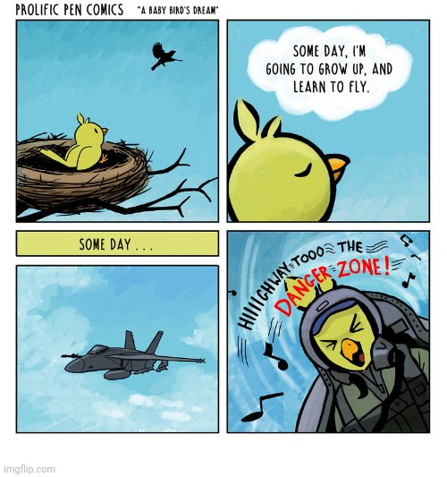 A baby bird's dream | image tagged in baby,bird,dream,fly,comics,comics/cartoons | made w/ Imgflip meme maker
