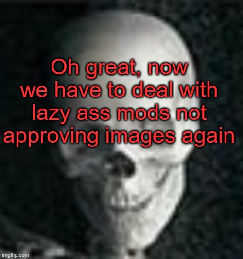 . | Oh great, now we have to deal with lazy ass mods not approving images again | image tagged in skull | made w/ Imgflip meme maker