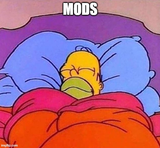 Homer Simpson sleeping peacefully | MODS | image tagged in homer simpson sleeping peacefully | made w/ Imgflip meme maker