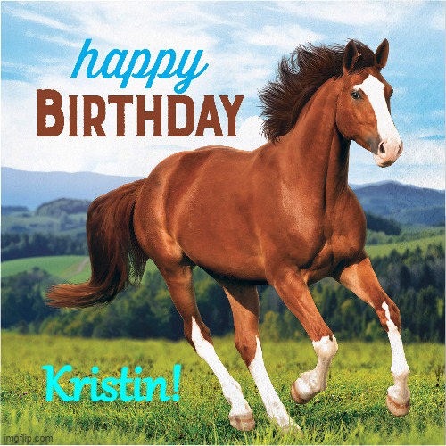 Happy Birthday Kristin | Kristin! | image tagged in happy birthday,kristin,horse | made w/ Imgflip meme maker