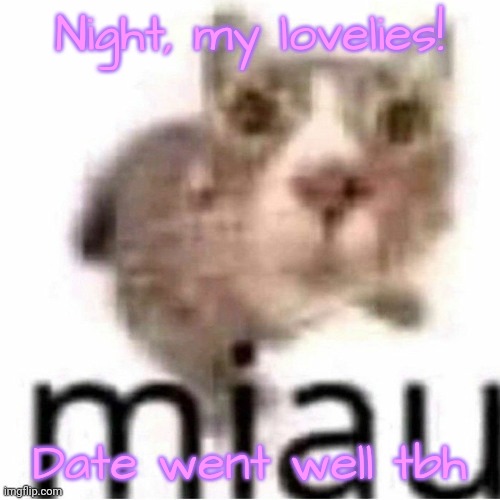 miau | Night, my lovelies! Date went well tbh | image tagged in miau | made w/ Imgflip meme maker