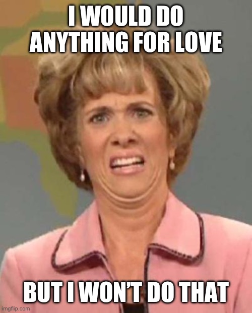 Disgusted Kristin Wiig | I WOULD DO ANYTHING FOR LOVE; BUT I WON’T DO THAT | image tagged in disgusted kristin wiig | made w/ Imgflip meme maker