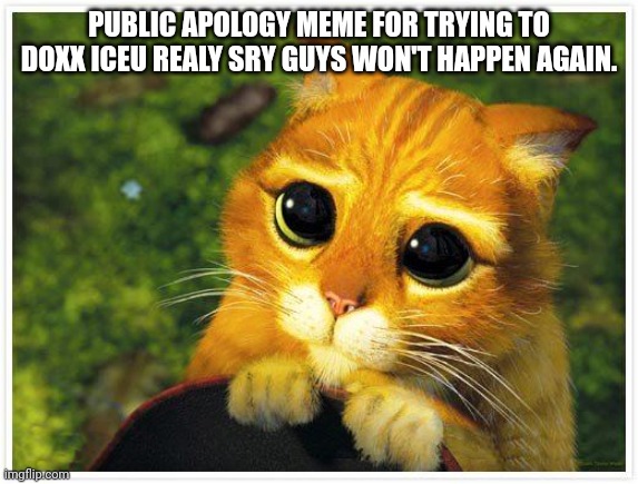 Sorry Iceu | PUBLIC APOLOGY MEME FOR TRYING TO DOXX ICEU REALY SRY GUYS WON'T HAPPEN AGAIN. | image tagged in sorry kitty | made w/ Imgflip meme maker