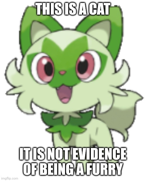 sprigatito | THIS IS A CAT IT IS NOT EVIDENCE OF BEING A FURRY | image tagged in sprigatito | made w/ Imgflip meme maker