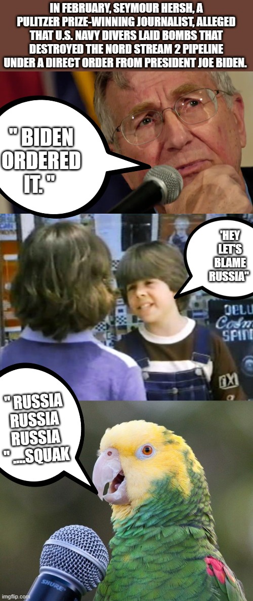 LOL DEMrats the Enemies within BUSTED AGAIN. | IN FEBRUARY, SEYMOUR HERSH, A PULITZER PRIZE-WINNING JOURNALIST, ALLEGED THAT U.S. NAVY DIVERS LAID BOMBS THAT DESTROYED THE NORD STREAM 2 PIPELINE UNDER A DIRECT ORDER FROM PRESIDENT JOE BIDEN. " BIDEN ORDERED IT. "; 'HEY LET'S BLAME RUSSIA"; " RUSSIA RUSSIA RUSSIA " ....SQUAK | image tagged in democrats,nwo,psychopaths and serial killers | made w/ Imgflip meme maker