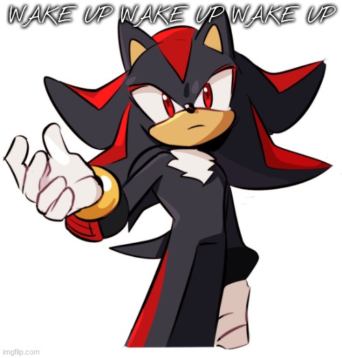 GRAHH WAKE UP CHAT | WAKE UP WAKE UP WAKE UP | image tagged in shadow like again | made w/ Imgflip meme maker