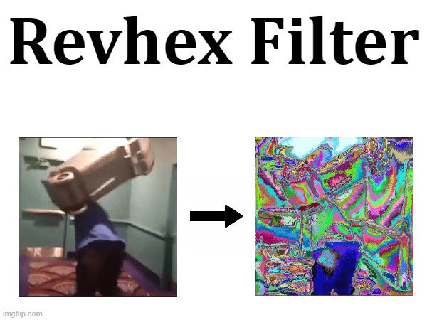 Revhex Filter | made w/ Imgflip meme maker