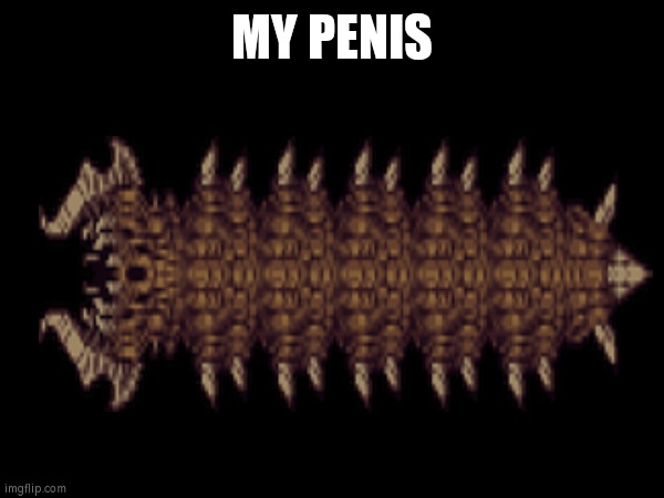 My pp | MY PENIS | image tagged in terraria,goofy ahh | made w/ Imgflip meme maker