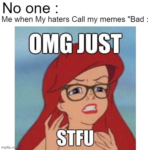 That's why I don't like my haters (slightly) | No one :; Me when My haters Call my memes "Bad : | image tagged in haters,stfu,no one,me when | made w/ Imgflip meme maker