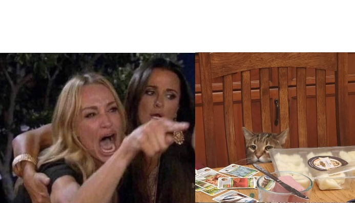 Woman Yelling At Cat 2.0 Blank Meme Template
