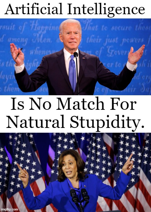 ​​"Two things are infinite: the universe & human stupidity. And I'm not sure about the universe." ― Albert Einstein | Artificial Intelligence; Is No Match For 
Natural Stupidity. | image tagged in politics,political humor,joe biden,kamala harris,artificial intelligence,human stupidity | made w/ Imgflip meme maker