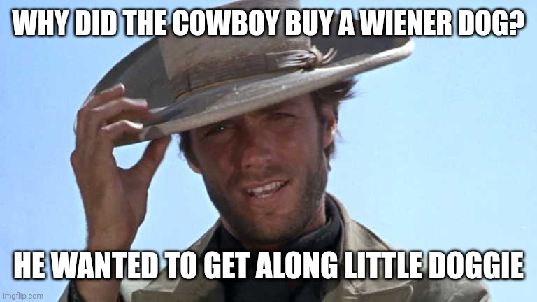 Cowboy Tipping Hat | WHY DID THE COWBOY BUY A WIENER DOG? HE WANTED TO GET ALONG LITTLE DOGGIE | image tagged in cowboy tipping hat | made w/ Imgflip meme maker