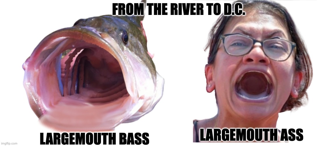 Something Smells Fishy | FROM THE RIVER TO D.C. LARGEMOUTH BASS; LARGEMOUTH ASS | image tagged in tlaib,staring fish | made w/ Imgflip meme maker
