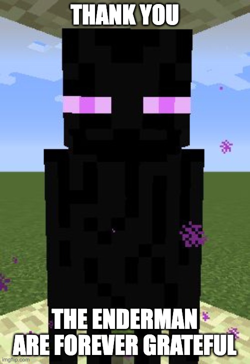 Enderman | THANK YOU THE ENDERMAN ARE FOREVER GRATEFUL | image tagged in enderman | made w/ Imgflip meme maker
