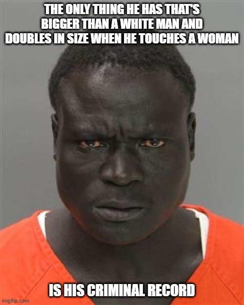 Better | THE ONLY THING HE HAS THAT'S BIGGER THAN A WHITE MAN AND DOUBLES IN SIZE WHEN HE TOUCHES A WOMAN; IS HIS CRIMINAL RECORD | image tagged in misunderstood prison inmate | made w/ Imgflip meme maker