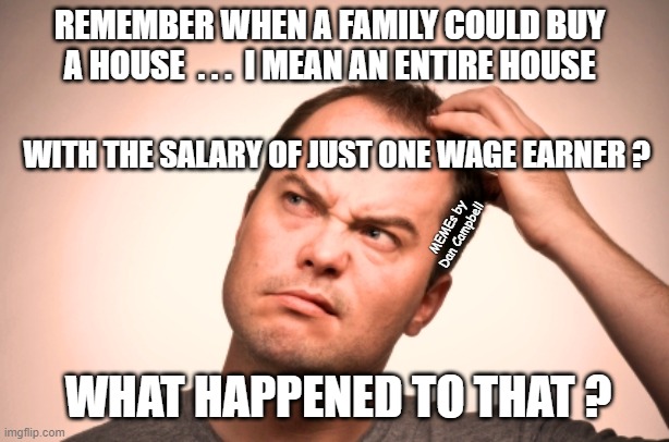 puzzled man | REMEMBER WHEN A FAMILY COULD BUY A HOUSE  . . .  I MEAN AN ENTIRE HOUSE; WITH THE SALARY OF JUST ONE WAGE EARNER ? MEMEs by Dan Campbell; WHAT HAPPENED TO THAT ? | image tagged in puzzled man | made w/ Imgflip meme maker