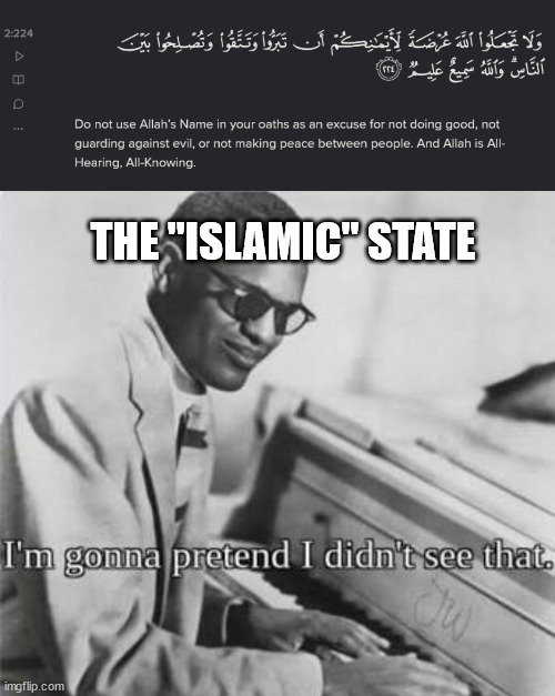 they ignore this verse fr fr | THE "ISLAMIC" STATE | image tagged in i m going to pretend i didn t see that | made w/ Imgflip meme maker