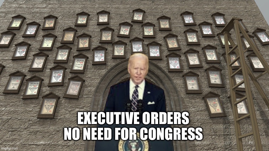 Joe Joe | EXECUTIVE ORDERS 
NO NEED FOR CONGRESS | image tagged in more joe,memes | made w/ Imgflip meme maker