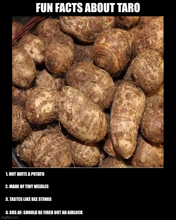 Fun Facts About Taro | FUN FACTS ABOUT TARO; 1. NOT QUITE A POTATO; 2. MADE OF TINY NEEDLES; 3. TASTES LIKE BEE STINGS; 4. SUS AF: SHOULD BE FIRED OUT AN AIRLOCK | image tagged in autism | made w/ Imgflip meme maker