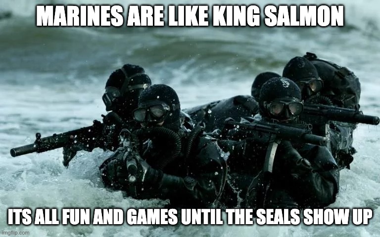 Navy and Marines | MARINES ARE LIKE KING SALMON; ITS ALL FUN AND GAMES UNTIL THE SEALS SHOW UP | image tagged in funny memes,navy,marines,navy seals,elite | made w/ Imgflip meme maker