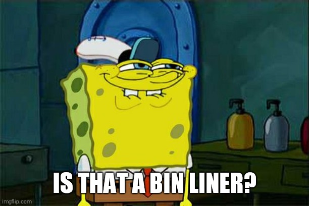 Don't You Squidward Meme | IS THAT A BIN LINER? | image tagged in memes,don't you squidward | made w/ Imgflip meme maker