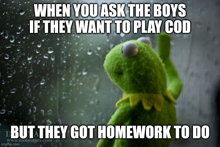Why is this so true | WHEN YOU ASK THE BOYS IF THEY WANT TO PLAY COD; BUT THEY GOT HOMEWORK TO DO | image tagged in kermit window | made w/ Imgflip meme maker