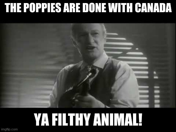 It's officially Christmas time fellow Canadian Imgfilpers! | THE POPPIES ARE DONE WITH CANADA; YA FILTHY ANIMAL! | image tagged in keep the change ya filthy animal | made w/ Imgflip meme maker