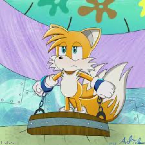 Free tails | image tagged in free tails | made w/ Imgflip meme maker