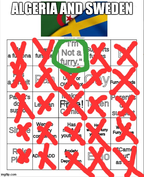 i am not furry | ALGERIA AND SWEDEN | image tagged in furry bingo | made w/ Imgflip meme maker