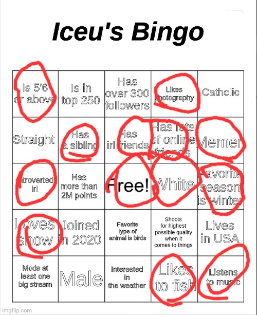 Iceu's Bingo | image tagged in iceu's bingo | made w/ Imgflip meme maker