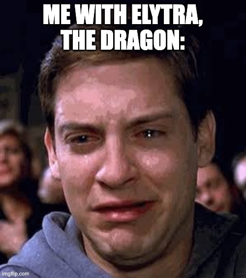 ME WITH ELYTRA,
THE DRAGON: | image tagged in too bad so sad | made w/ Imgflip meme maker
