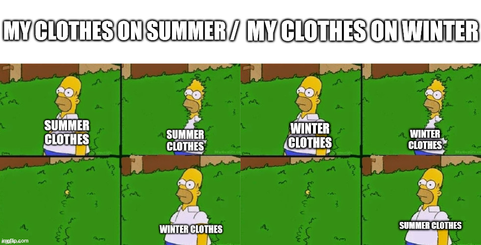 MY CLOTHES ON SUMMER /; MY CLOTHES ON WINTER; WINTER CLOTHES; WINTER CLOTHES; SUMMER CLOTHES | image tagged in homer bush,memes,funny | made w/ Imgflip meme maker