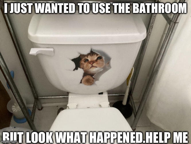 ABC | I JUST WANTED TO USE THE BATHROOM; BUT LOOK WHAT HAPPENED.HELP ME | image tagged in abc | made w/ Imgflip meme maker