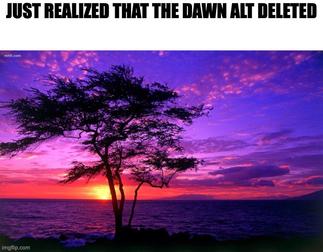 Sunrise purple beauty | JUST REALIZED THAT THE DAWN ALT DELETED | made w/ Imgflip meme maker