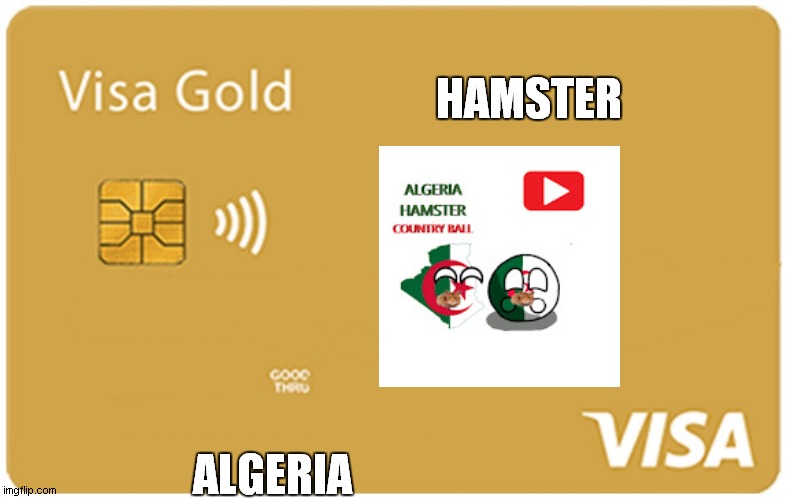 algeria hamster | HAMSTER; ALGERIA | image tagged in visa gold credit card | made w/ Imgflip meme maker