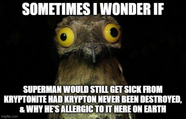 Weird Stuff I Do Potoo | SOMETIMES I WONDER IF; SUPERMAN WOULD STILL GET SICK FROM KRYPTONITE HAD KRYPTON NEVER BEEN DESTROYED, & WHY HE'S ALLERGIC TO IT HERE ON EARTH | image tagged in memes,weird stuff i do potoo | made w/ Imgflip meme maker