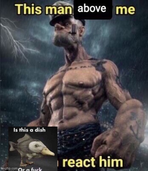 this man above me fish react him | image tagged in this man above me fish react him | made w/ Imgflip meme maker