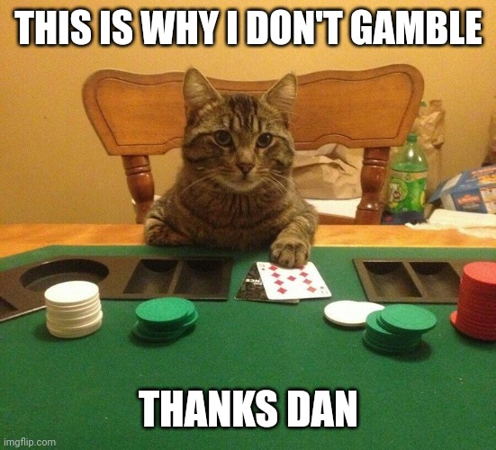 Gambling cat | THIS IS WHY I DON'T GAMBLE; THANKS DAN | image tagged in gambling cat | made w/ Imgflip meme maker