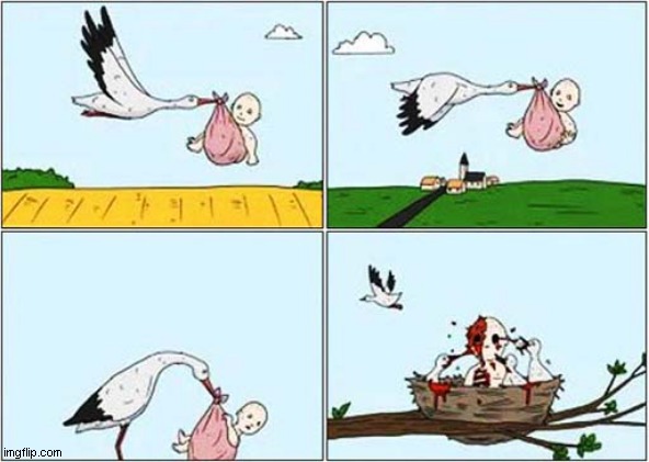 The Stork Makes A Special Delivery ! | image tagged in stork,delivery,dead,baby,dark humour | made w/ Imgflip meme maker