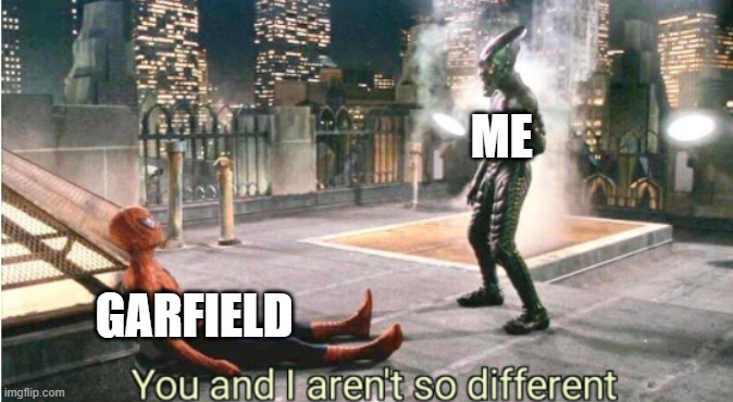 you and i aren't so different | ME; GARFIELD | image tagged in you and i aren't so different | made w/ Imgflip meme maker