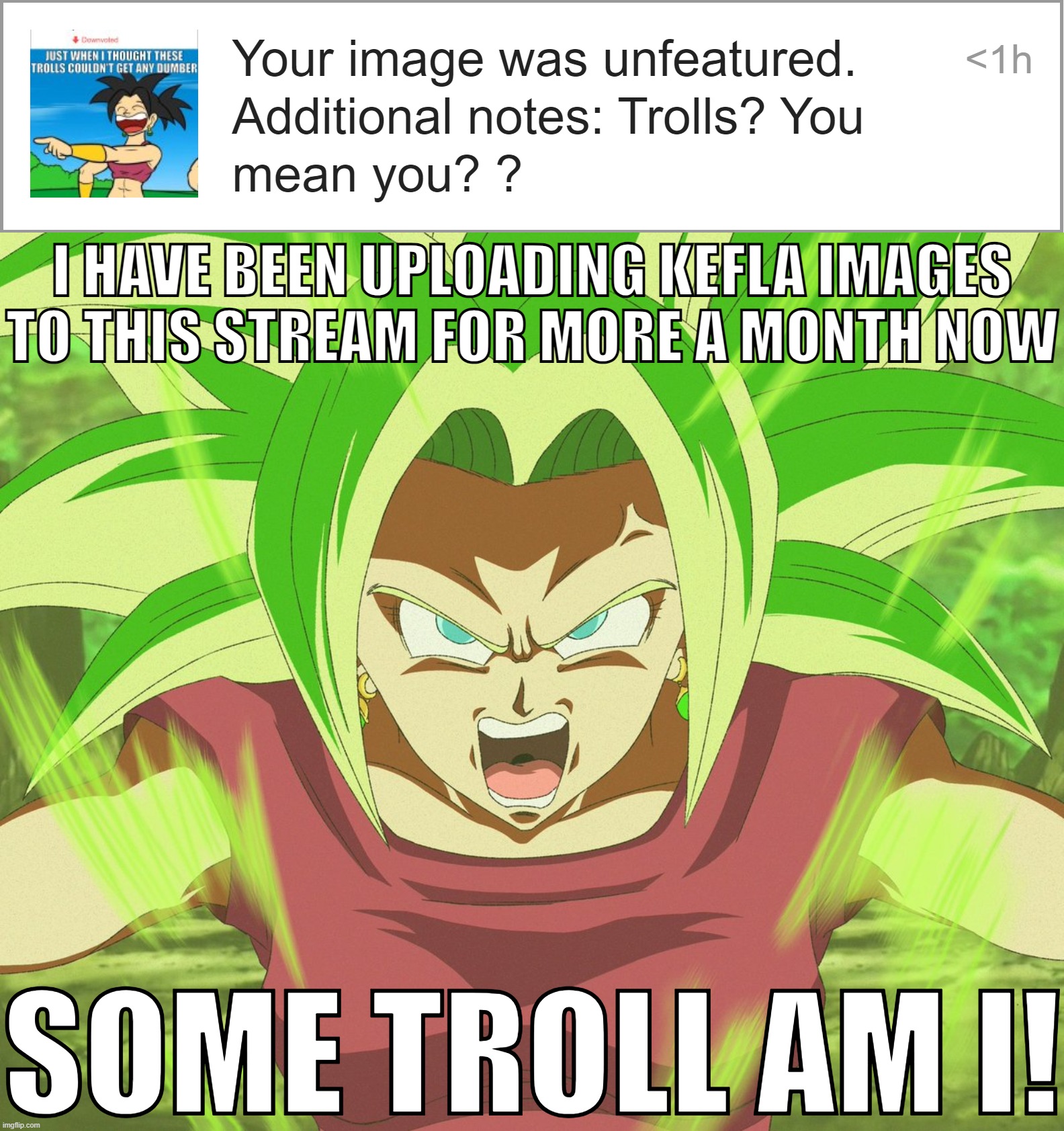 I get the feeling you didn't read the image properly. xD | I HAVE BEEN UPLOADING KEFLA IMAGES TO THIS STREAM FOR MORE A MONTH NOW; SOME TROLL AM I! | made w/ Imgflip meme maker