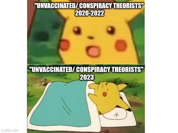 Sleepers | "UNVACCINATED/ CONSPIRACY THEORISTS" 
2020-2022; "UNVACCINATED/ CONSPIRACY THEORISTS" 
2023 | made w/ Imgflip meme maker