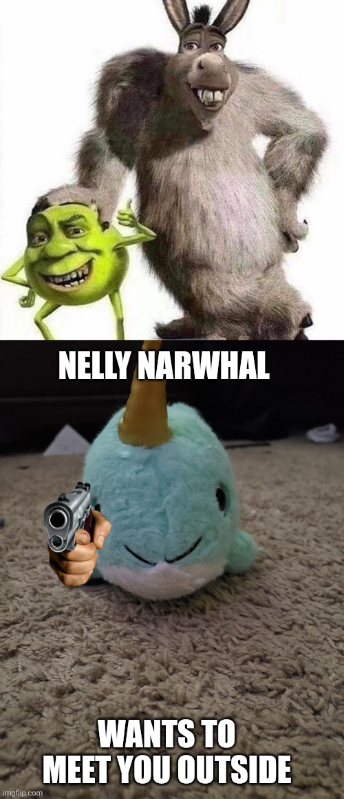 Custom meme cuz I can | NELLY NARWHAL; WANTS TO MEET YOU OUTSIDE | made w/ Imgflip meme maker